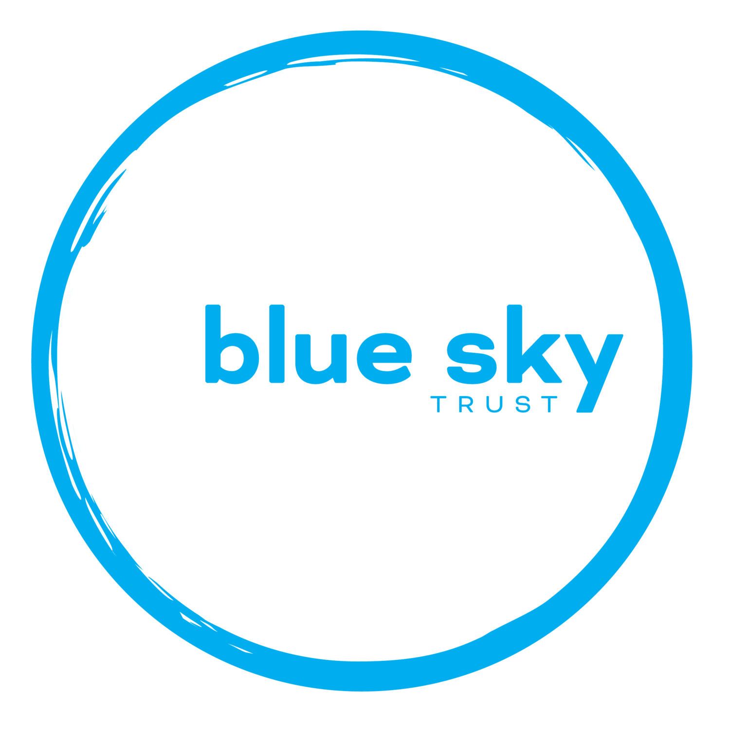 Blue Sky Trust"